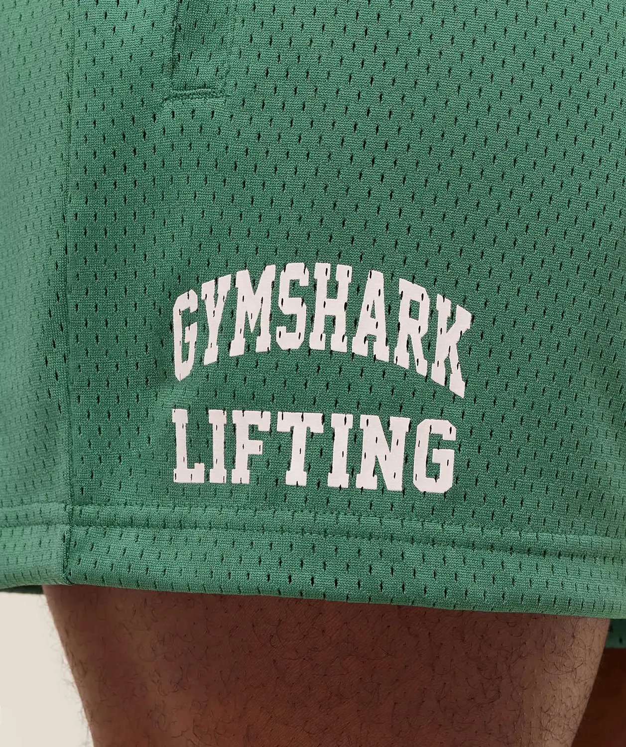 Lifting Mesh 5" Shorts - Image 5